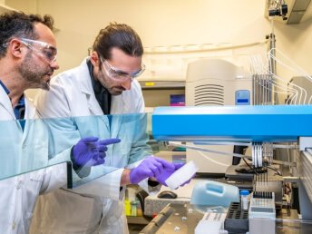 Recursos Clinicos Mineral Assay